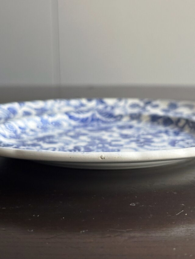 J.Vieillard&Cie/Bordeaux タピスリー 平皿 φ20.5cm フランス