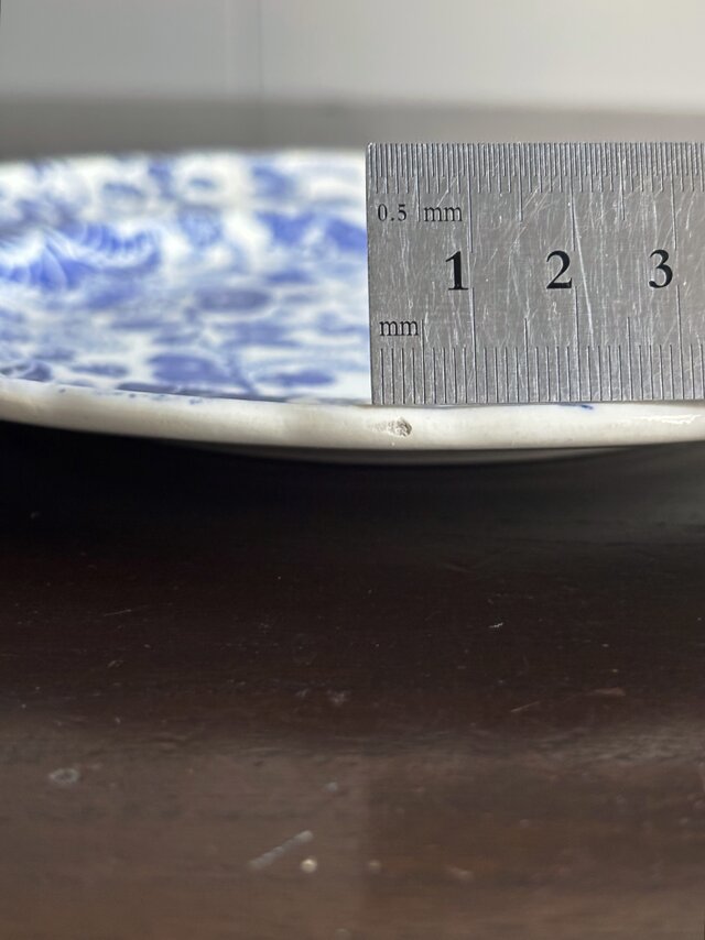 J.Vieillard&Cie/Bordeaux タピスリー 平皿 φ20.5cm フランス