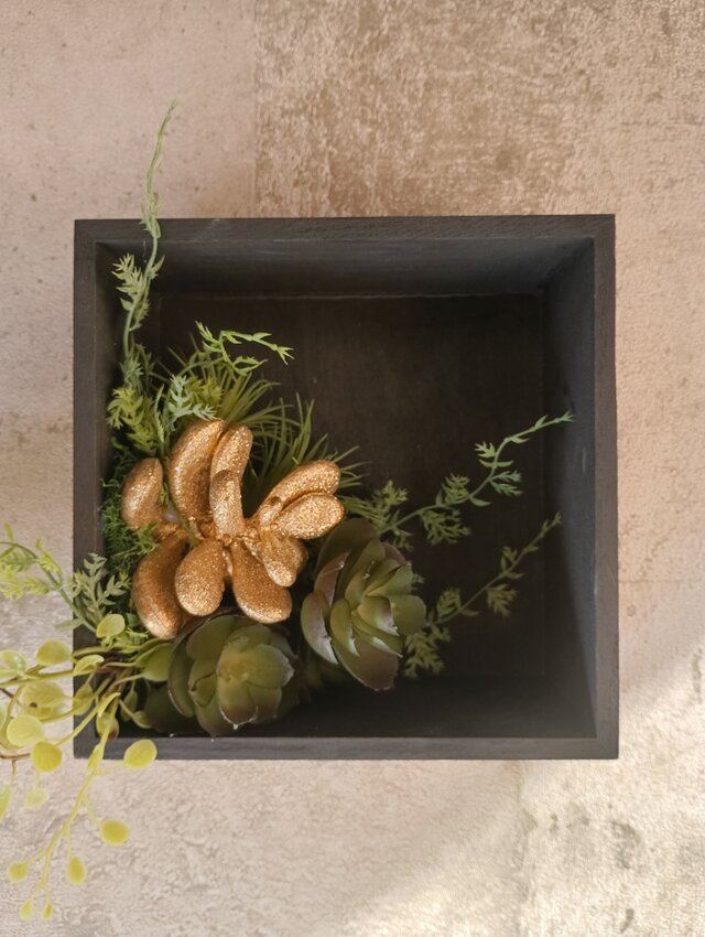 存在感あるゴールド（金）に輝く多肉植物 ウォールグリーンBOX 光触媒 