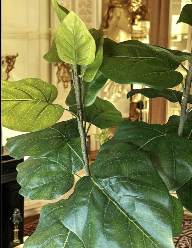 光触媒 人工観葉植物 ウォールグリーン フェイクグリーン ウンベラータ