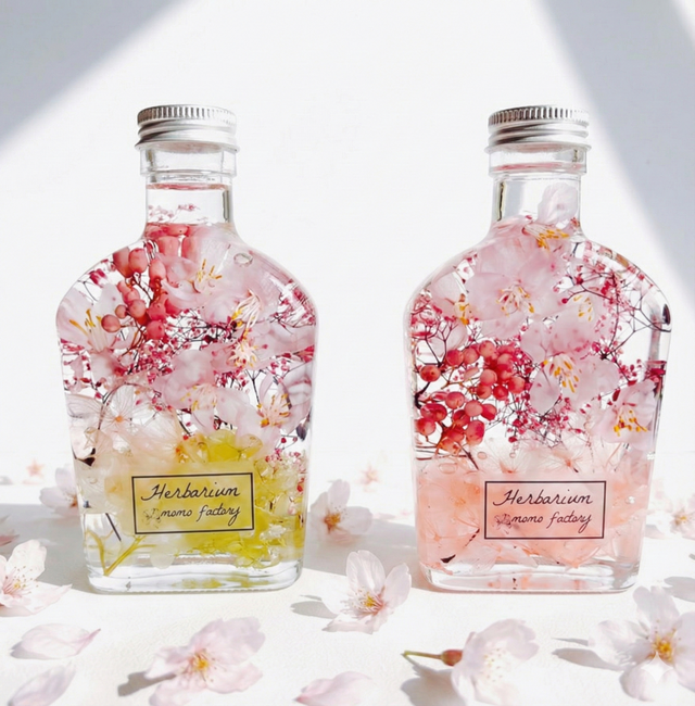 春を彩る桜の置物＆桜ハーバリウム 2点セット | iichi 日々の暮らしを