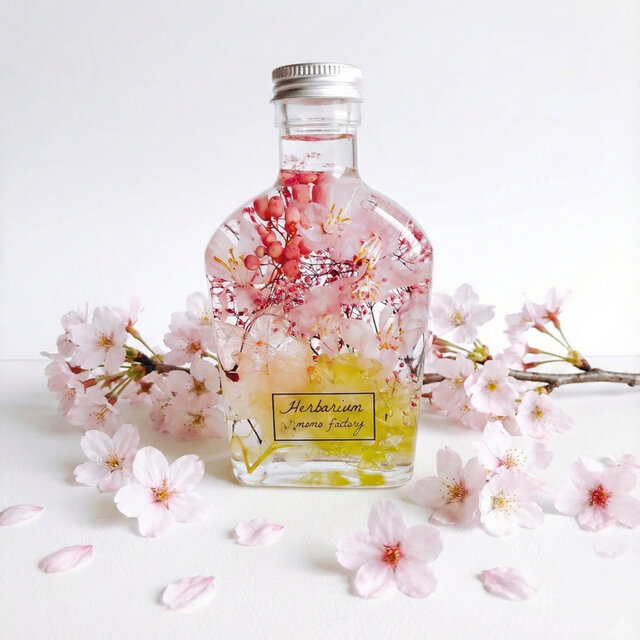 2本セット】春を告げる桜のハーバリウム spring フラワーギフトの