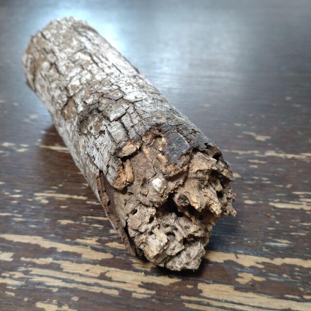 止まり木（枝：TOY-08-015）T567 | iichi 日々の暮らしを心地よくする