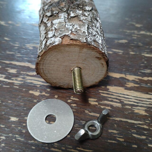 止まり木（枝：TOY-08-015）T567 | iichi 日々の暮らしを心地よくする