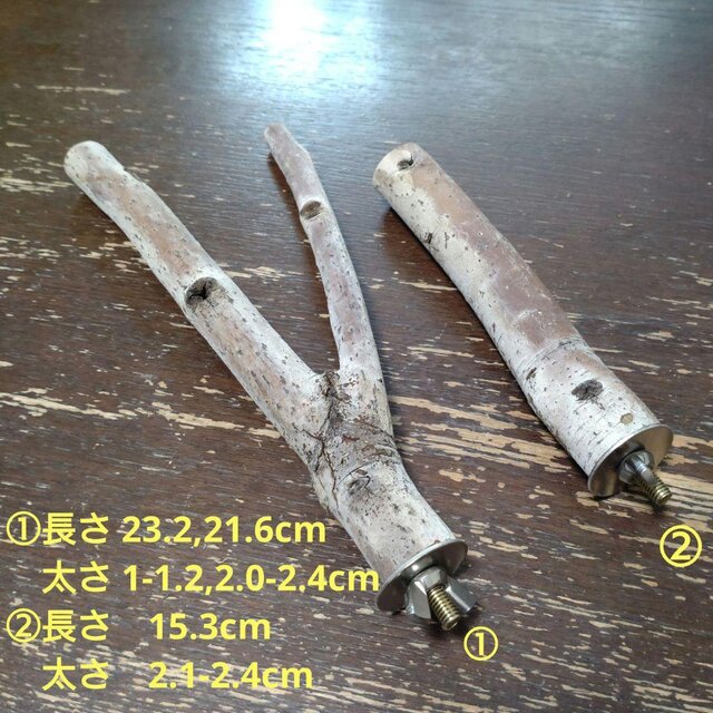 止まり木セット（枝：TOY-08-015）T568 | iichi 日々の暮らしを