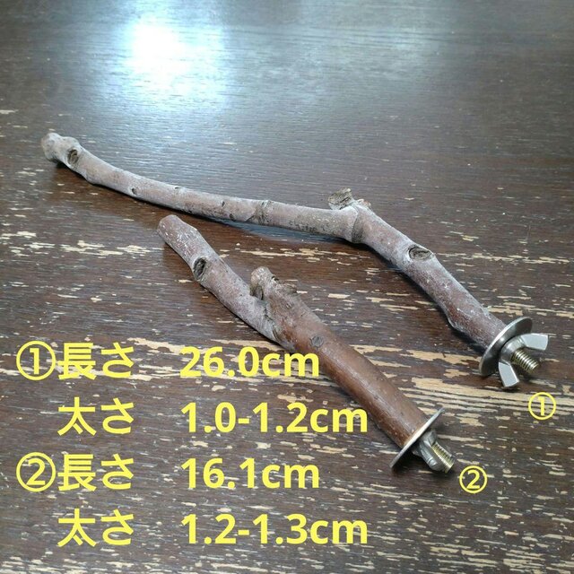 止まり木セット（枝：TOY-08-015）T569 | iichi 日々の暮らしを