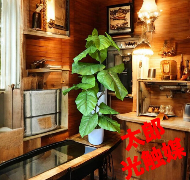 光触媒 人工観葉植物 ウォールグリーン フェイクグリーン ウンベラータ