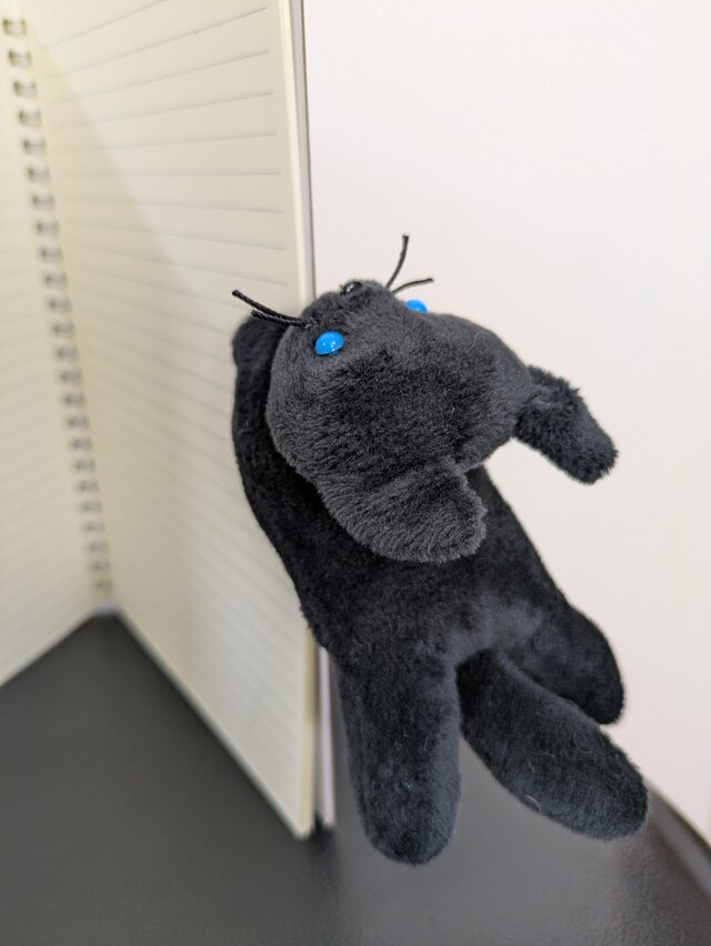 ぬいぐるみ☆クリップ☆黒ねこ☆ | iichi 日々の暮らしを心地よくする