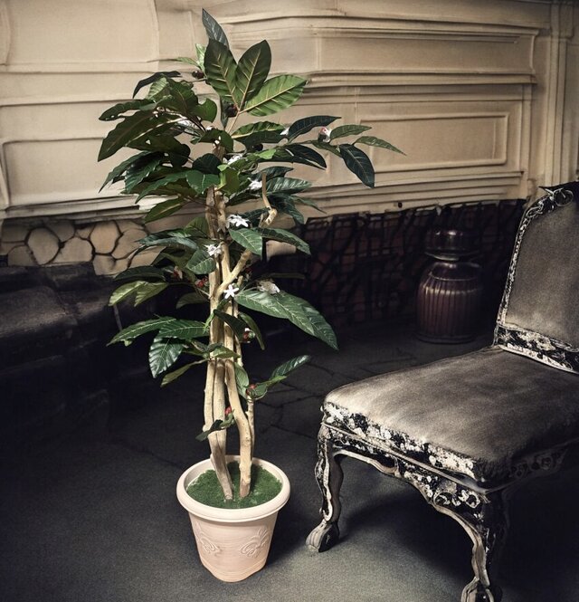 光触媒 人工観葉植物 ウォールグリーン フェイクグリーン コーヒーの木