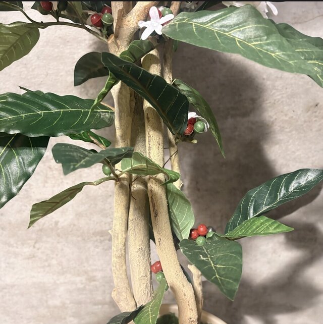 光触媒　人工観葉植物　ウォールグリーン　フェイクグリーン　コーヒーツリー180 楽天市場】【クーポン10%off 1/15 26時まで】 人工観葉植物 お手入れ