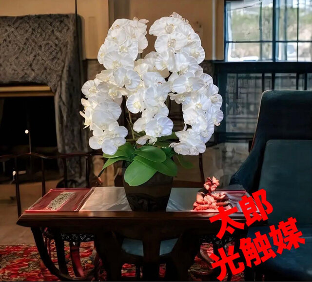 光触媒　人工観葉植物　ウォールグリーン　フェイクグリーン　お供え花　つかさ 光触媒 人工観葉植物 ウォールグリーン フェイクグリーン お供え花胡蝶