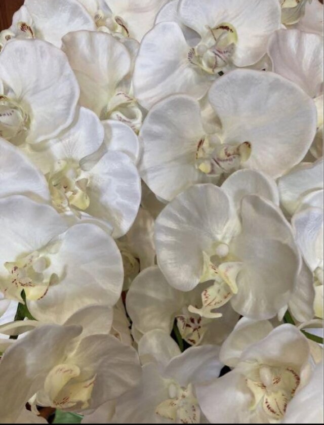 光触媒 人工観葉植物 ウォールグリーン フェイクグリーン お供え花胡蝶