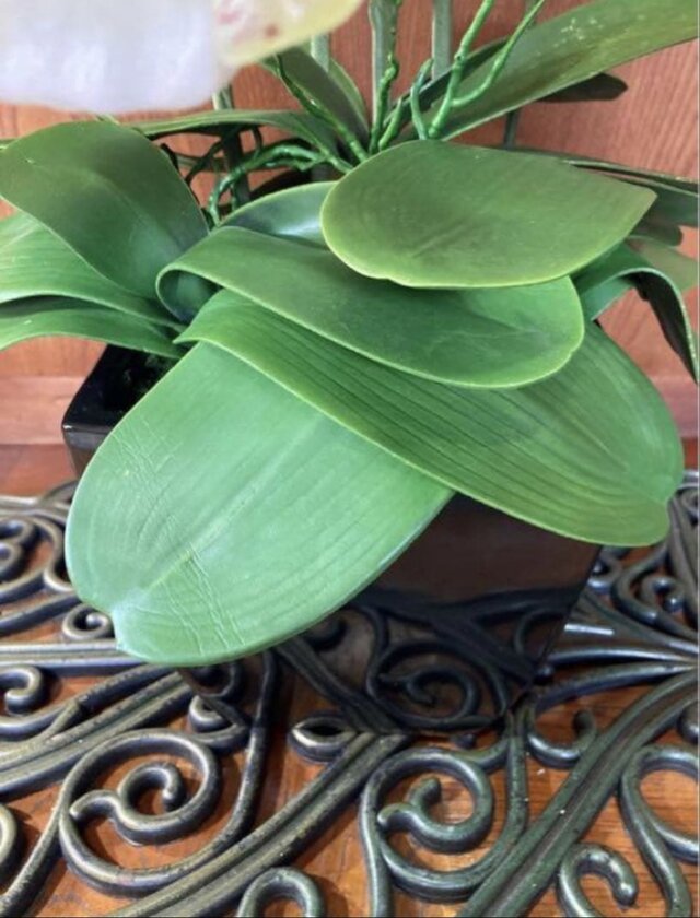 光触媒 人工観葉植物 ウォールグリーン フェイクグリーン お供え花胡蝶