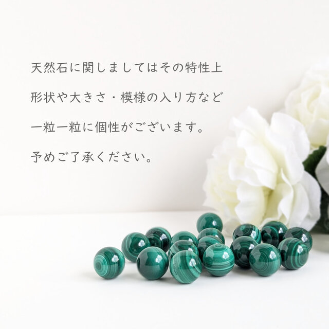 【はくとん( 'ω')ŧ‹\