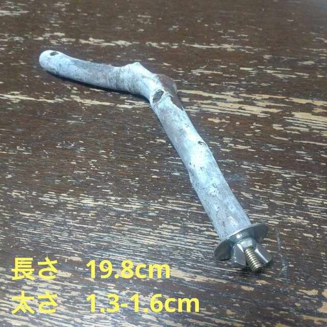 止まり木（枝：TOY-08-015）T5 | iichi 日々の暮らしを心地よくする