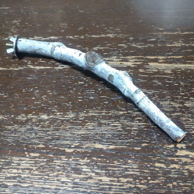 止まり木6本と1本おまけ。 止まり木（枝：TOY-08-015）T585 | iichi 日々の暮らしを心地よくする