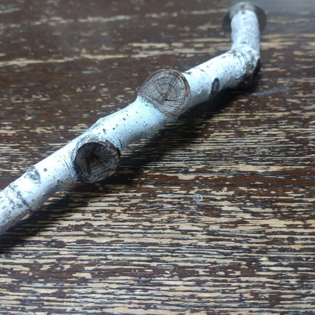 止まり木（枝：TOY-08-015）T585 | iichi 日々の暮らしを心地よくする