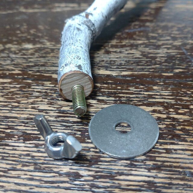 止まり木（枝：TOY-08-015）T585 | iichi 日々の暮らしを心地よくする