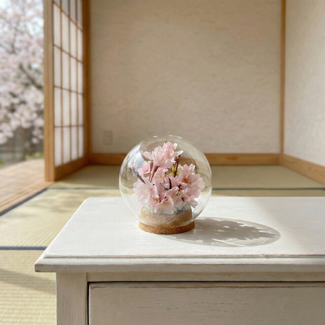 春を告げる桜のガラスドーム Cherry Blossom ひな祭り お花見 | iichi