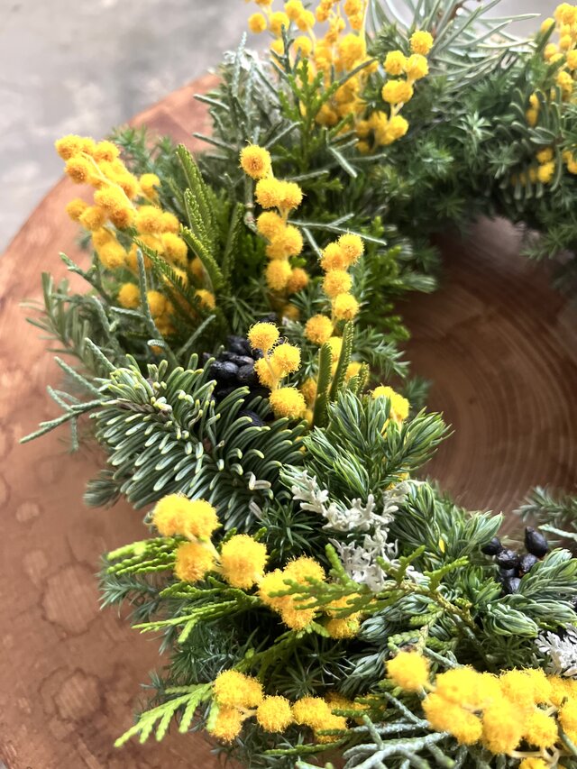 ♢受注制作♢ 早春. イタリアから春の便り♬ ~ミモザ.ミランドールと