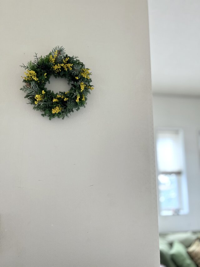 早春. イタリアから春の便り♬ ~ミモザ.ミランドールと針葉樹 | iichi