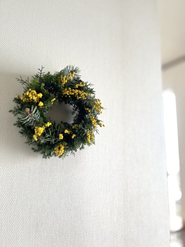 早春. イタリアから春の便り♬ ~ミモザ.ミランドールと針葉樹 | iichi