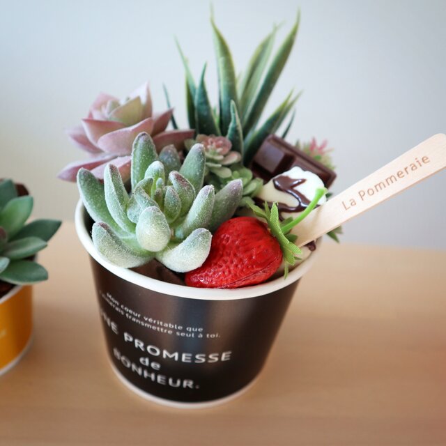 多肉植物のある風景 Ice Cream Arrangement ☆フェイクグリーン☆Large 