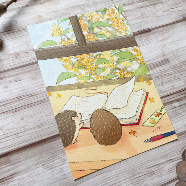 季節のポストカード3枚セット】「10月 ハリネズミの読書の秋」 | iichi