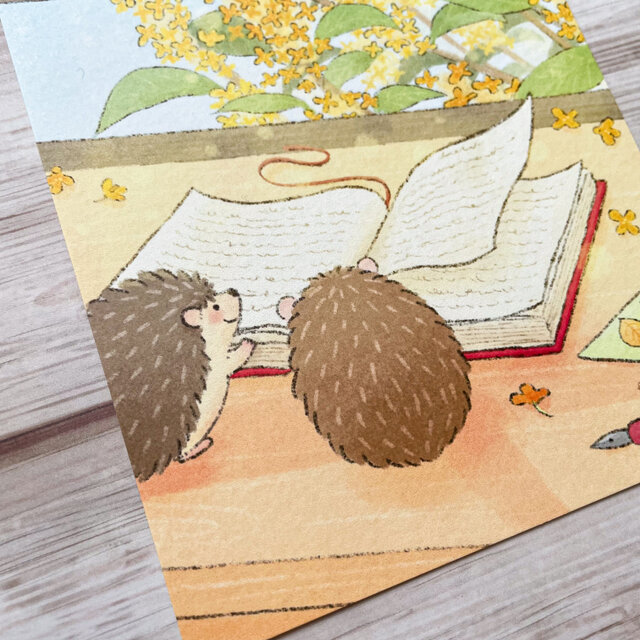 季節のポストカード3枚セット】「10月 ハリネズミの読書の秋」 | iichi