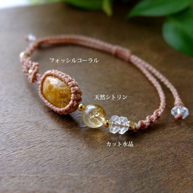 フォッシルコーラル（インドネシア産）化石珊瑚・天然シトリン