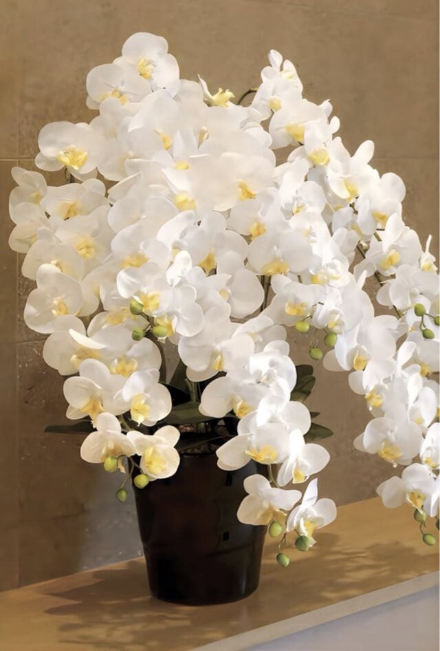 光触媒　人工観葉植物　ウォールグリーン　フェイクグリーン　グランドファレノ 光触媒 人工観葉植物 ウォールグリーン フェイクグリーン フレッシュ