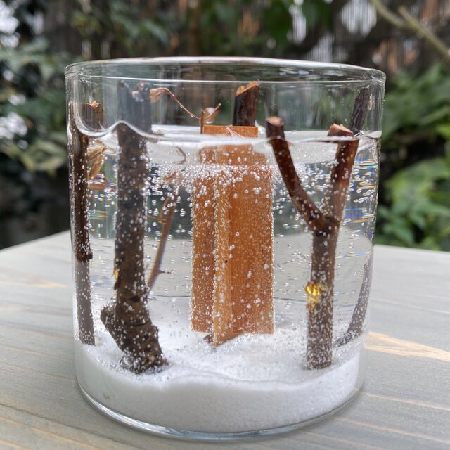 ボタニカルキャンドル　クリスマスキャンドル 木芯キャンドル 再販 冬木立 木芯キャンドル | iichi 日々の暮らしを心地よくする