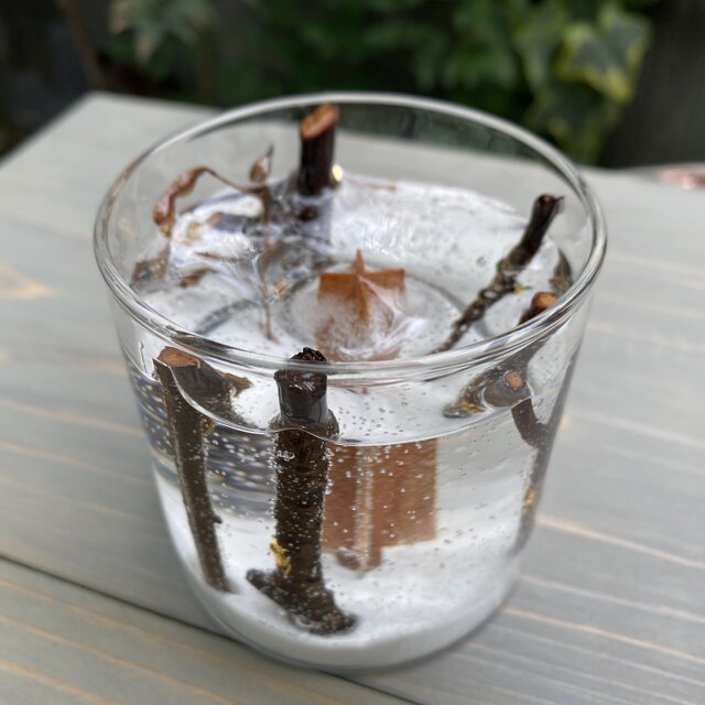 再販 冬木立 木芯キャンドル | iichi 日々の暮らしを心地よくする