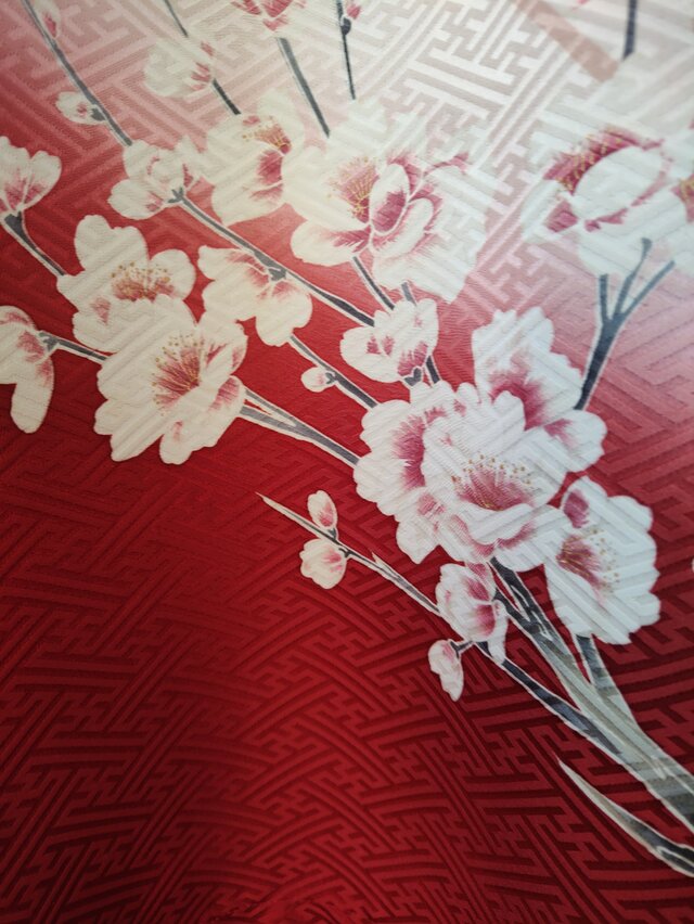 振袖ロングワンピース 梅の花と孔雀 | iichi 日々の暮らしを心地よく