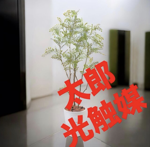 光触媒　人工観葉植物　ウォールグリーン　フェイクグリーン　フラワー　シマトネリコ 光触媒 人工観葉植物 ウォールグリーン フェイクグリーン シマトネリコ