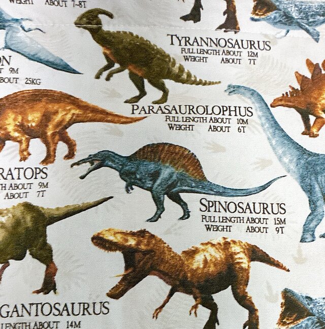 レッスンバック☆入園入学♪恐竜♪男の子 | iichi 日々の暮らしを