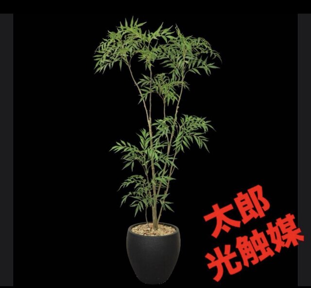 光触媒 人工観葉植物 ウォールグリーン フェイクグリーン マホニア