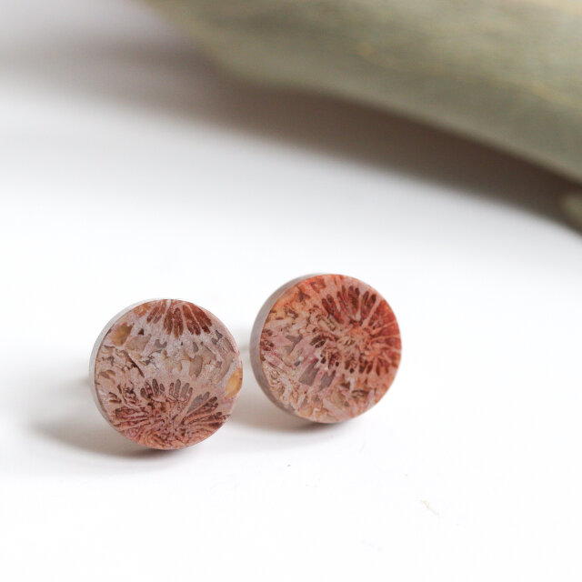 K14｜フォッシルコーラル / 化石珊瑚のスタッドピアス - Terra | iichi