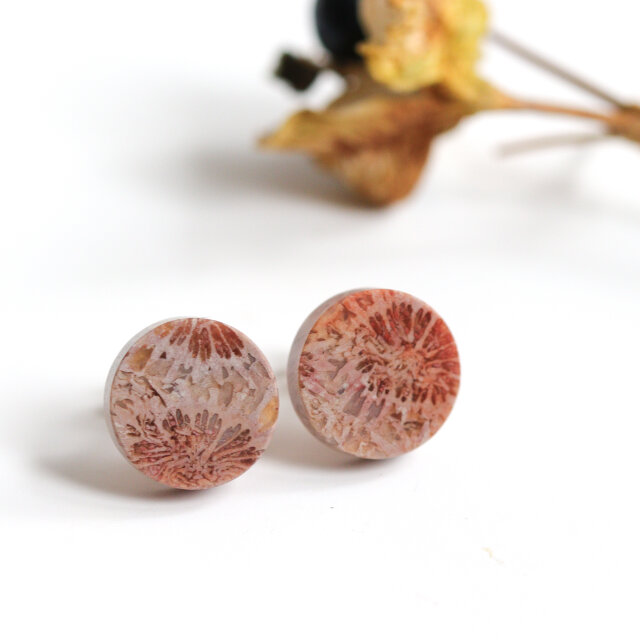 K14｜フォッシルコーラル / 化石珊瑚のスタッドピアス - Terra | iichi