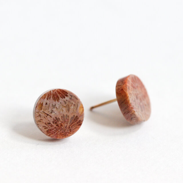 K14｜フォッシルコーラル / 化石珊瑚のスタッドピアス - Terra | iichi