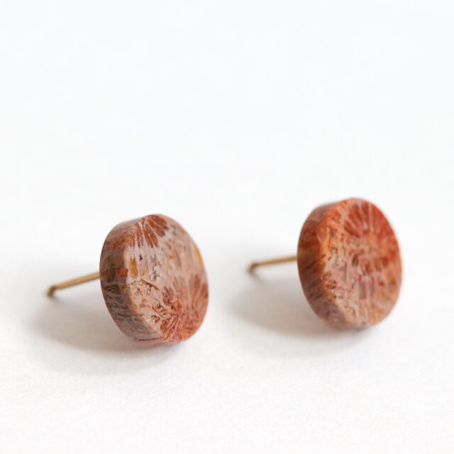 K14｜フォッシルコーラル / 化石珊瑚のスタッドピアス - Terra | iichi