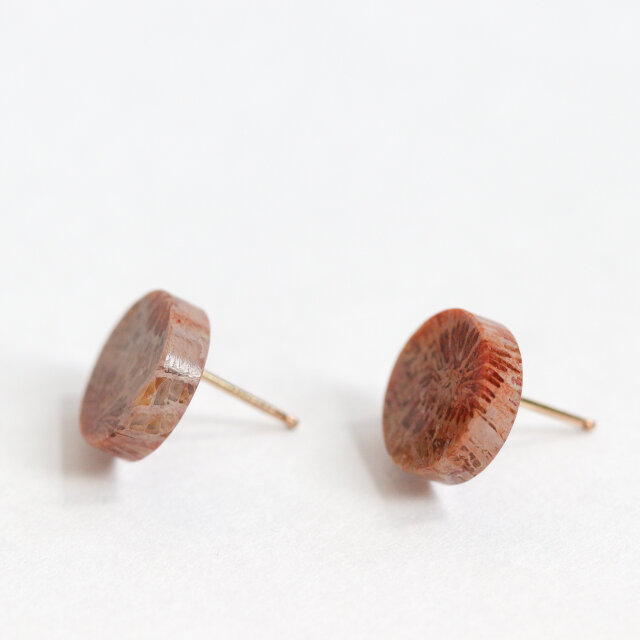 K14｜フォッシルコーラル / 化石珊瑚のスタッドピアス - Terra | iichi