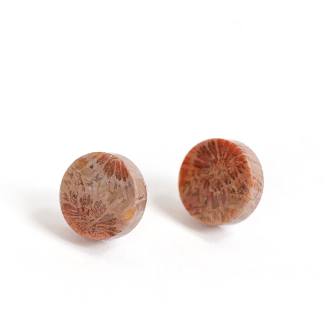 天然石♡フォッシルコーラルのピアス14kgf K14｜フォッシルコーラル / 化石珊瑚のスタッドピアス - Terra | iichi