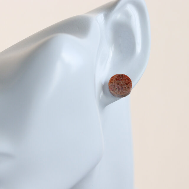 K14｜フォッシルコーラル / 化石珊瑚のスタッドピアス - Terra | iichi