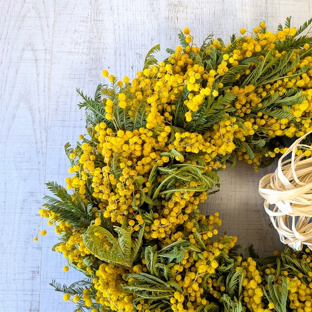 ミモザ・イタリア産ミランドールのリース | iichi 日々の暮らしを