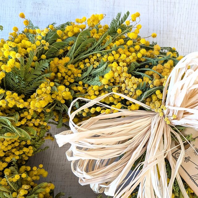 ミモザ・イタリア産ミランドールのリース | iichi 日々の暮らしを