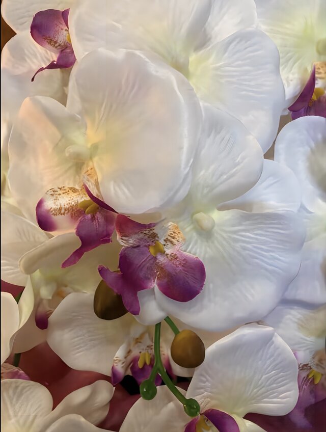 光触媒 人工観葉植物 ウォールグリーン フェイクグリーン 胡蝶蘭
