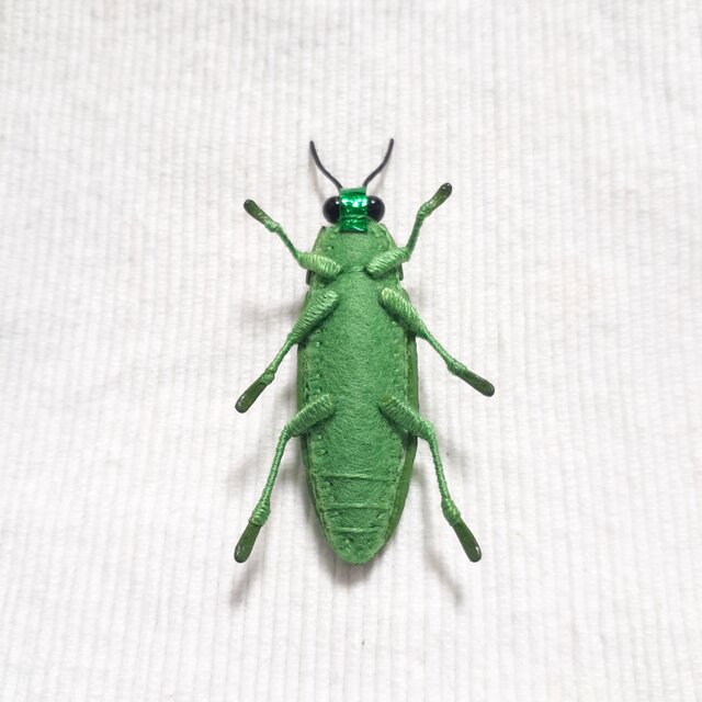 ヤマトタマムシのぬいぐるみ | iichi 日々の暮らしを心地よくする