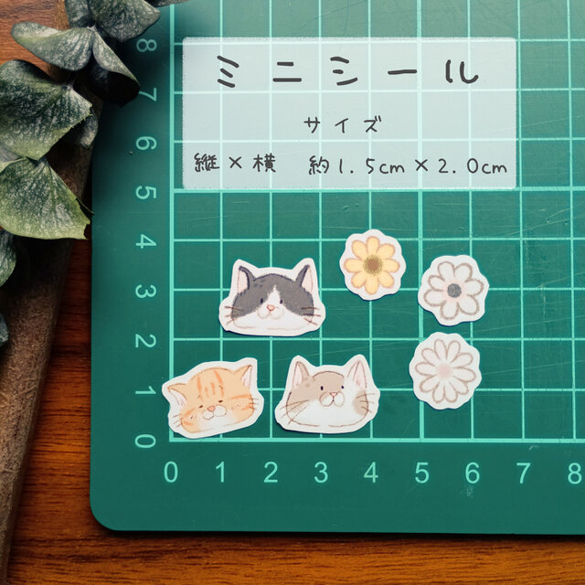 にゃんこnoお顔たち フレークシール 36枚入り【猫（茶トラ、ハチワレ