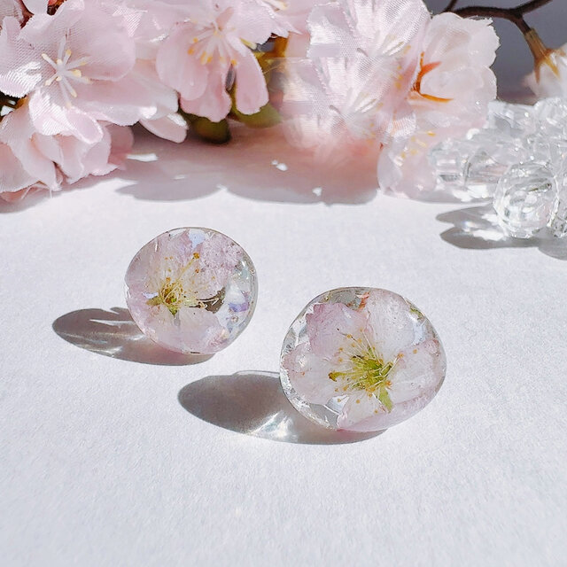 薄紅の桜】春を告げる啓翁桜のピアス サージカルステンレス 金属